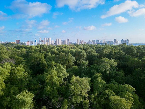Respirer l'air pur d'un camping 5 étoiles en montagne