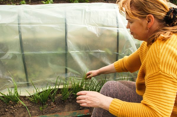 Les tunnels agricoles français les plus prisés en 2024